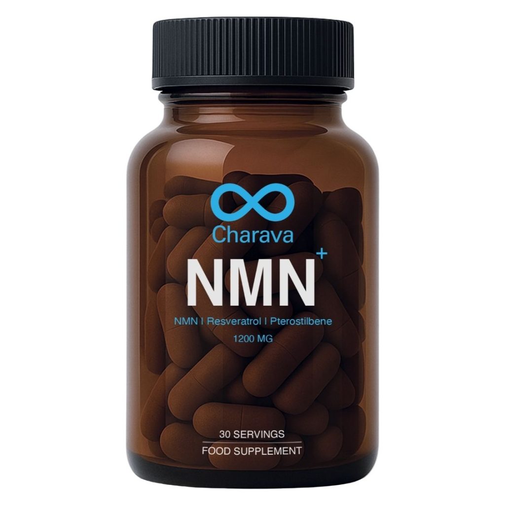 Understanding The Role Of B Vitamins In Nervous System Support